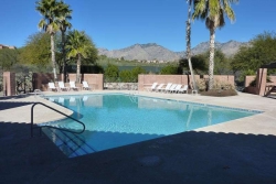 South Pool          © 2015 Guy Scharf